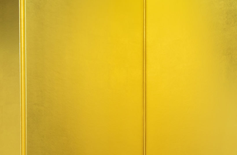 DP Nihon GOLDEN only.JPG