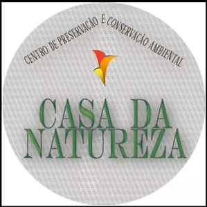 Captura de tela 2022-03-31 163118.jpg