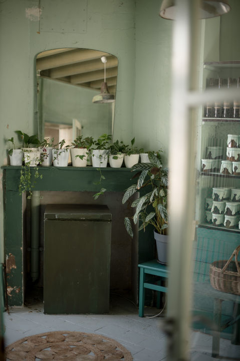 vue de l'entrée d'une ancienne épicerie, manteau de cheminée avec grand miroir et pots de fleurs