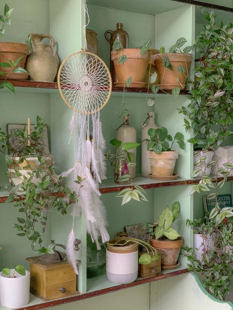 pots de boutures de plantes sur étagère, et dream catcher