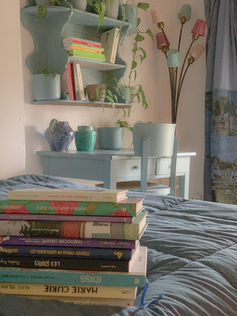 bibliotheque-romans-graphiques-chambre-bleue-lepicerie-venat