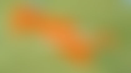 Özbekistan İkili/Transit Geçiş Belgeleri Bitti