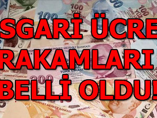 2019 Yılı Asgari Ücreti Belirlendi