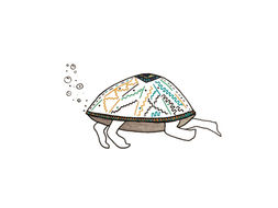 As Tartarugas preferem não usar máscaras