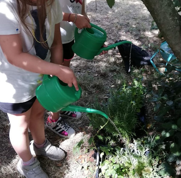 Fai brillare i talenti dei tuoi figli.pn