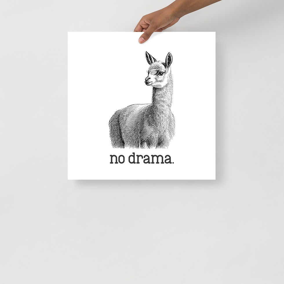 Thumbnail: no drama Poster