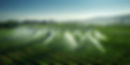 refreshment-from-as-sprinklers-arc-water-geometric-greenery-fields.jpg