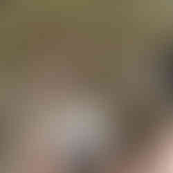 Hand, die eine kleine Steinkugel hält, die aus Fragmenten, einer großen Steinkugel geformt wurde, die man im Kugelwald von Zavidovici in Bosnien zerstört hatte, um ihrem Geheimnis auf die Schliche zu kommen