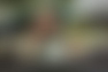 Surviving Westconnex Sydney Tunnels: How to Avoid Road Rage Incidents