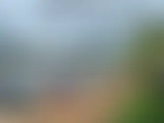 Dengue en Guyane : dans le secteur de l’Oyapock, l’épidémie est terminée, annonce Santé Publique France