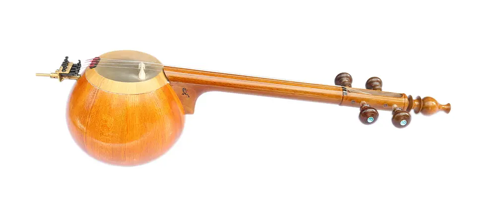 Classical Indian Veena musical instrument.