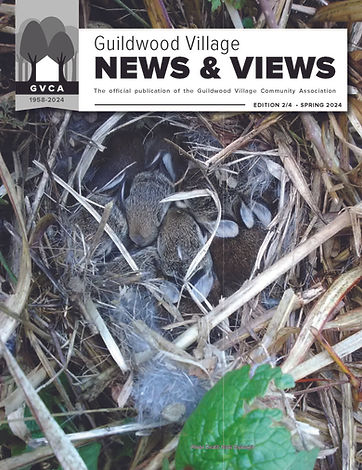 GVCA_NewsViews-Spring 2024-web (1)_Page_01.jpg