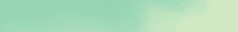 banner superior.jpg