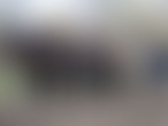 Najaarswerkzaamheden Groenewegje - 's-Gravenpolder