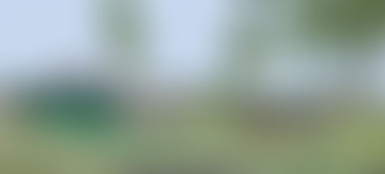 BOERENLANDRIT - dinsdag 18 juli