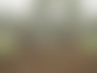 Ploegen - zaterdag 11 & 18 oktober