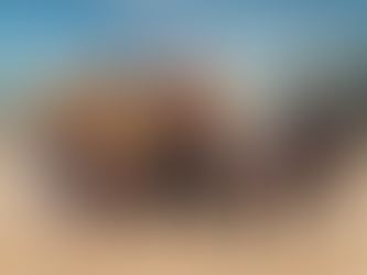 OOGSTDEMONSTRATIE - zaterdag 16 augustus