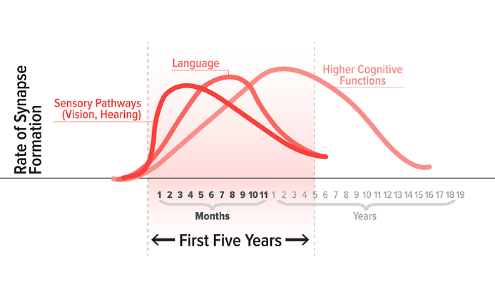 Graph of brain growth during the first 5 years