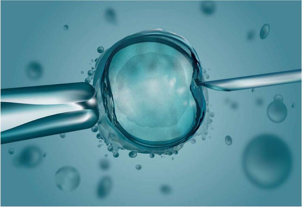 Objeção de consciência do médico em reprodução humana assistida