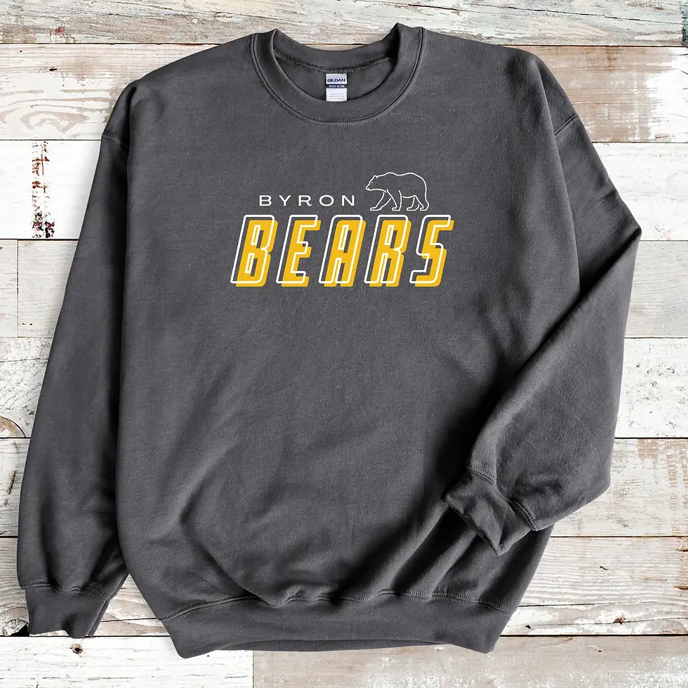 Bears Design 28