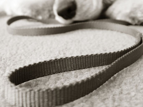 Genesis 16 - Wait on the Lord