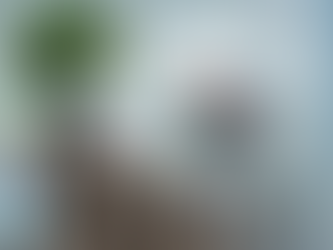 O desempenho financeiro tradicional ganha companhia para decisões de investimentos de longo prazo