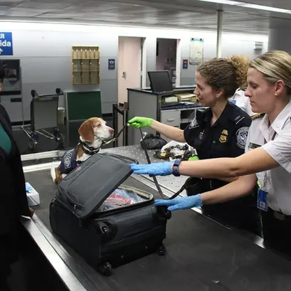 Navigating Custom Restrictions While Transferring Through European Airports