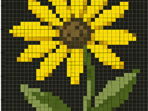 Ein Mittel – Ein Patch: Arnica montana