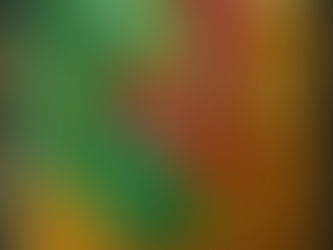 Berberis – Berberitze Patchworkstricken