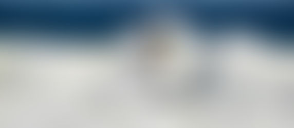 SATURDAY FLORIDA BOARD RIDERS CUP AT THE STRUCTURE!