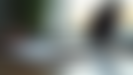 Effective Strategies for Cultivating Your Career