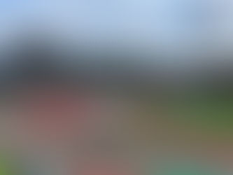 暑い夏・熱い戦い