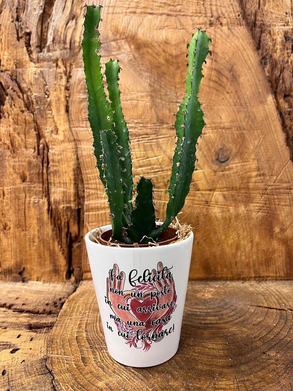 Vaso in Ceramica Personalizzato con Pianta #1
