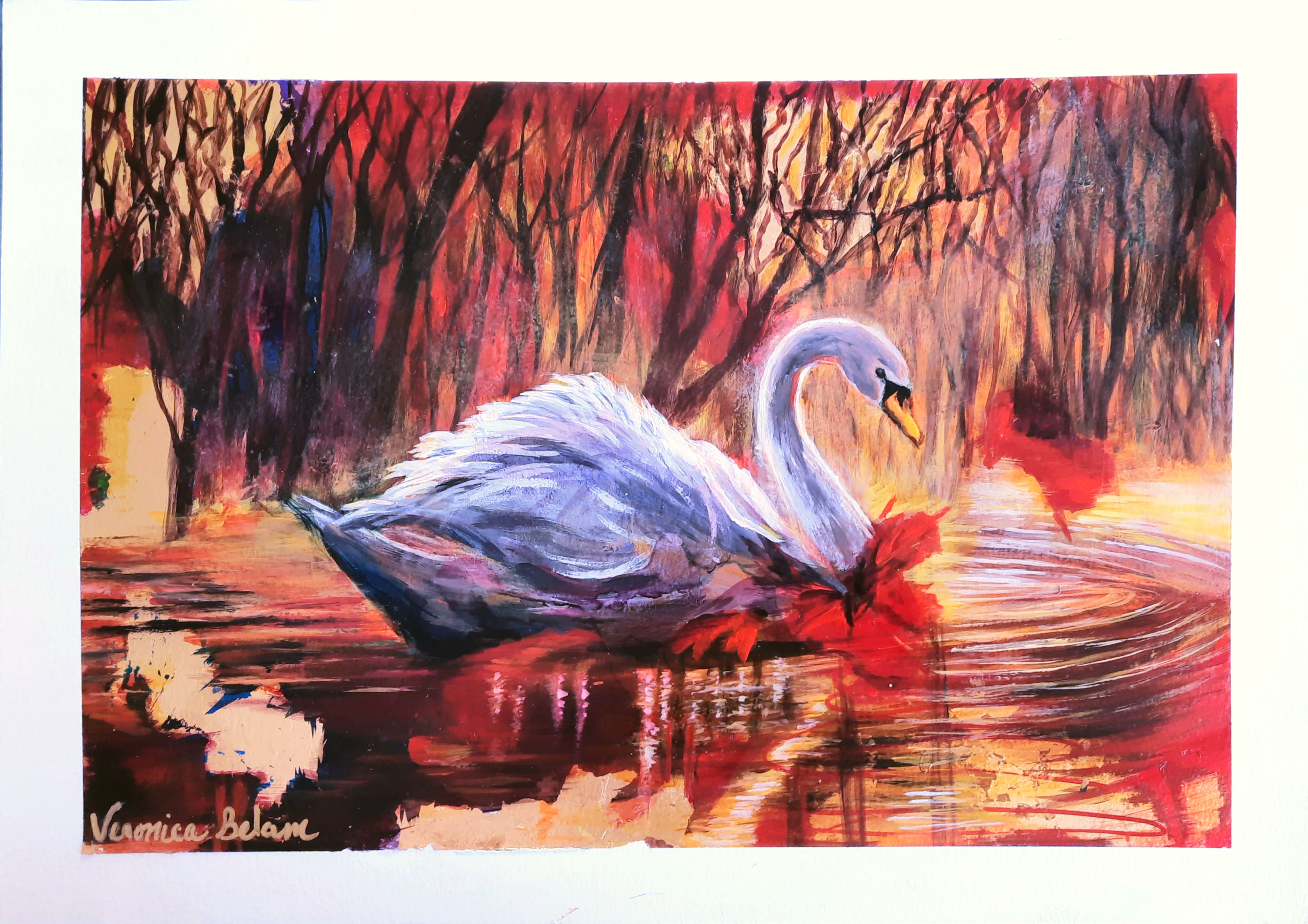 Reflet d'âme / Reflection of the Soul