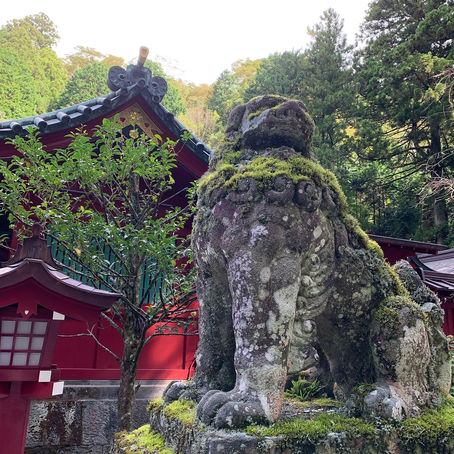 金のコンバース