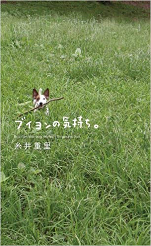 ブイヨンの気持ち(糸井重里著)