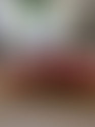 『存在の結晶化の最後の五年』