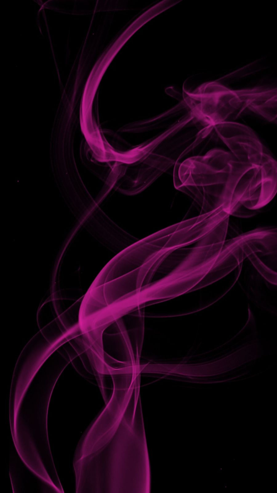 WhatsApp Image 2026-01-19 at 8.05.44 PM.jpeg