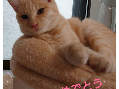 空ちゃんはヒマワリちゃんへ