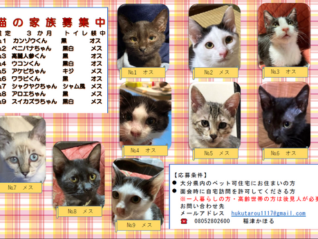 別府の為に尽力下さっている大分のボランティアさん