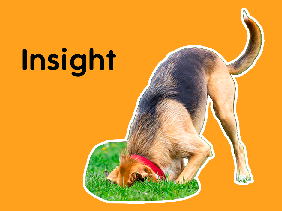 ¿Qué es un insight?