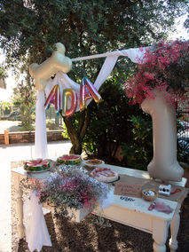decorazioni con palloncini e fiori per dog party