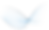 line-swosh-light.png