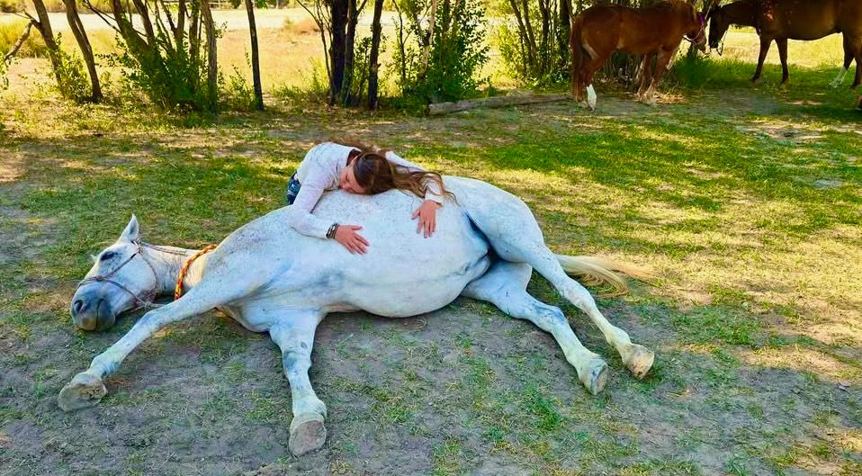 Hearts & Horses Retreat: A Different Way to Find Clarity, Confidence, and Connection