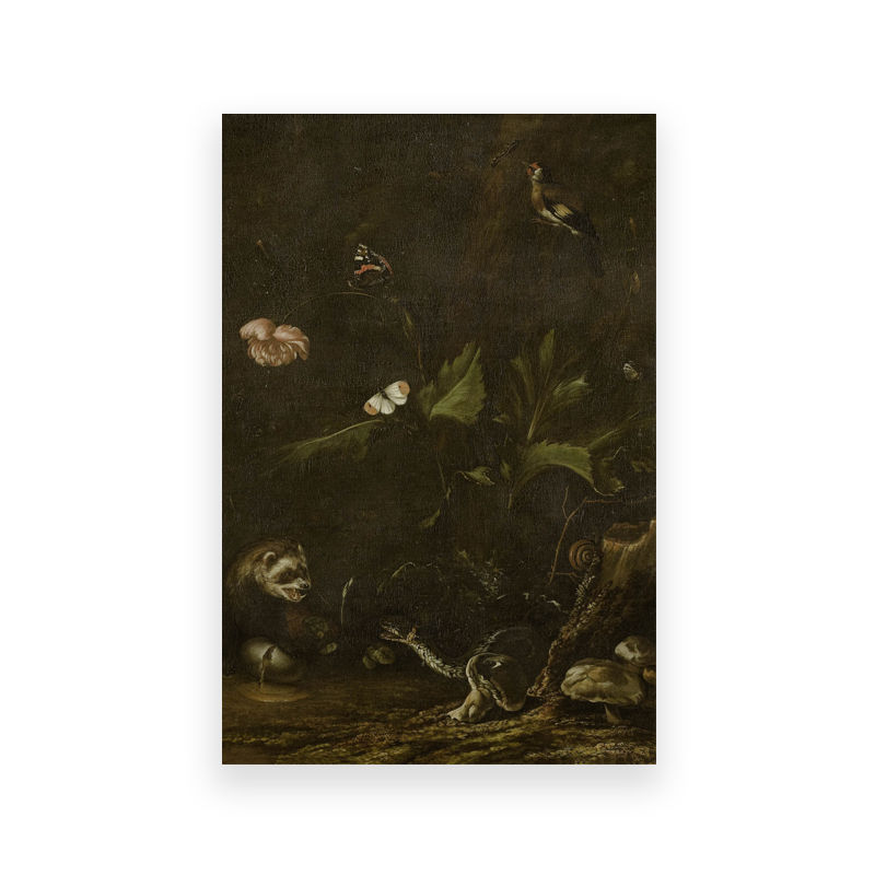Thumbnail: Vintage Moody Owl Painting Canvas Poster Cottagecore Nature Prints Dark Academia