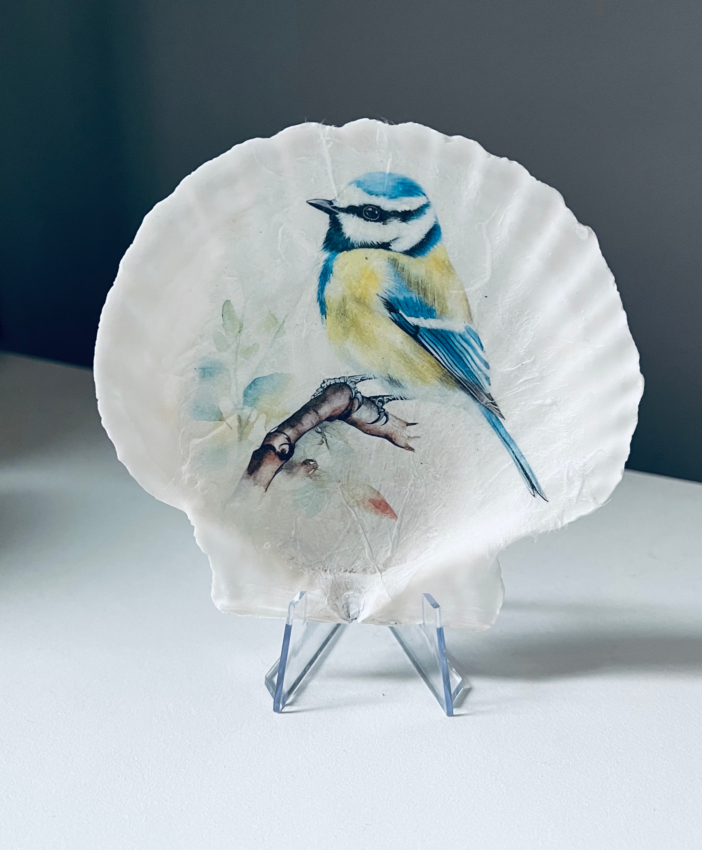 Blue Tit on shell - Style 2