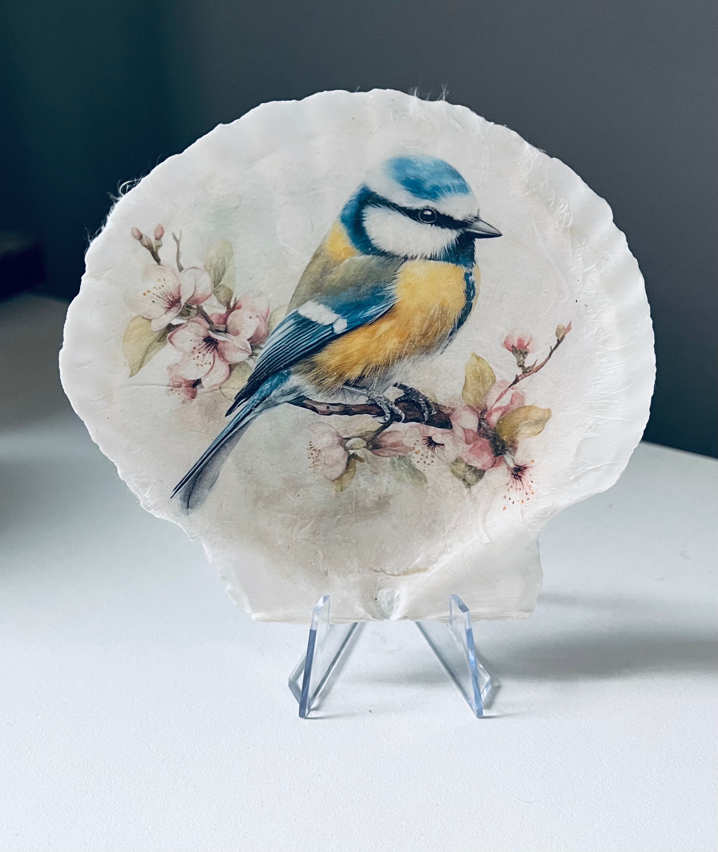 Blue Tit on shell - Style 1