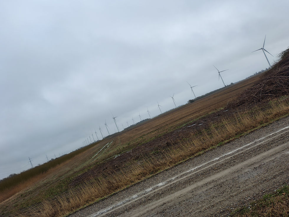 6 af de 2,3 mw vindmøller, som står i landskabet her, vil kunne drive mary river mine, med el-tog på, 24/7, i 3 generationer.