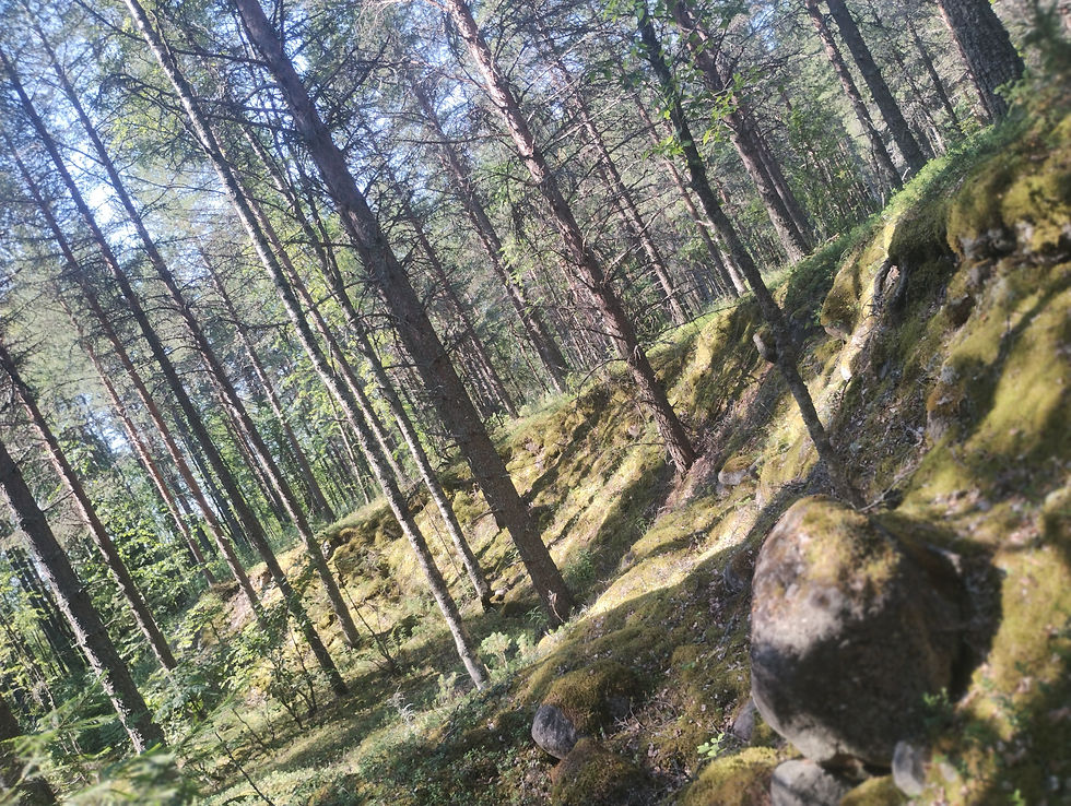 jern alder rampart fra før vendel tiden. bondesten & bronze alder byggede sjældent fæstninger, deres struktur var åbne pladser.