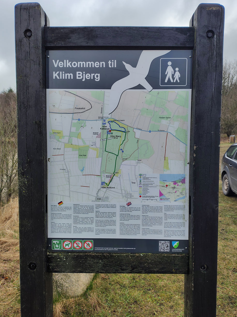 det forhindrer mig ikke i, at tage hendes datter på sightseeing, i det danske landskab, mine forfædre har levet i samklang med,